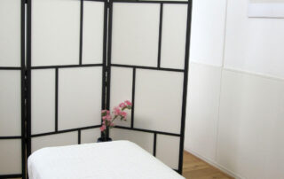 Behandelkamer Acupunctuurpraktijk Wang | Acupunctuur Zaandam, acupunctuur Zaanstad, acupunctuur Koog aan de Zaan